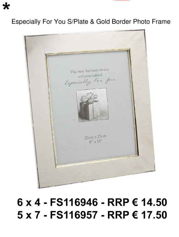 FS1169 Especially For You Silverplated & Gold Border Photo Frame